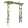 81 Inch Garden Arbor Metal Archway for Climbing Plants - Black
