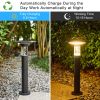Outdoor Solar Light, Landscape Path Light with 2 Light Colors, Walkway Light for Lawn Yard Garden, 22"H - As Pic